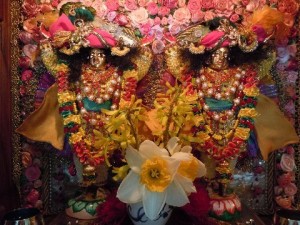 NitaiGauranga