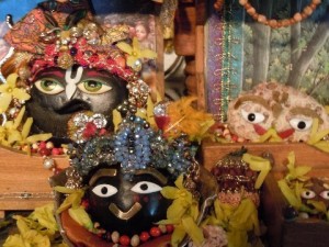 SakshiGopal and His friends