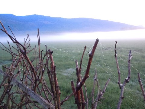 DSCN4075_5