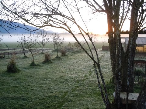 DSCN4078_4