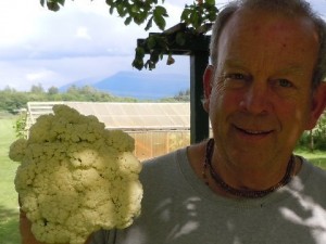 Cauliflower3