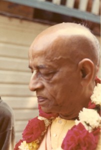 Prabh31