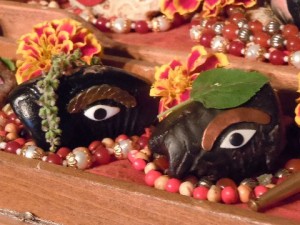 Timeless words from Srila Prabhupada-1936 Vyasa puja offering -5