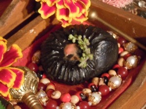 Timeless words from Srila Prabhupada-1936 Vyasa puja offering -6