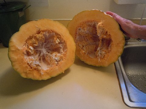 DSCN6137