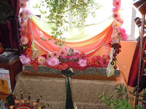 DSCN6236