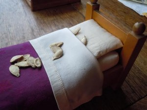 unnamed (2)