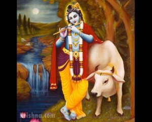 Krishna and a cow