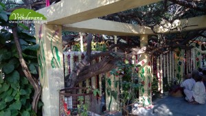IMAG0406-copy-1024x576