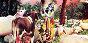 Krishna-Playing-His-Flute-in-Vrindavan-Surrounded-by-the-Cows_edit-1140x560