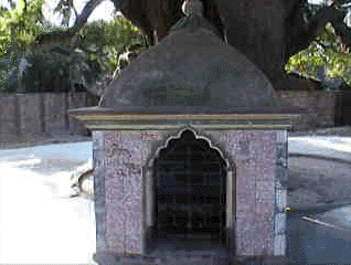 Inline image