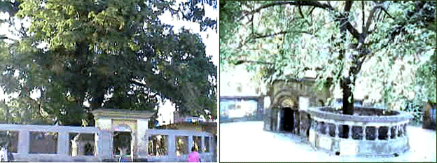 Inline image