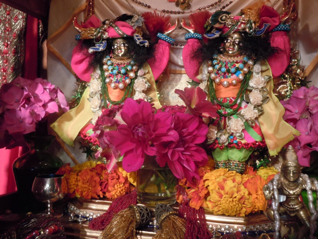 DSCN9206.JPG