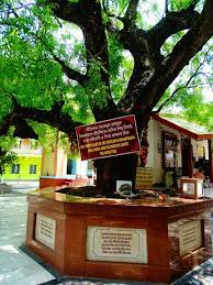 Sri Yogapitha - The Birthplace of Sri Chaitanya Mahaprabhu added a new... - Sri Yogapitha - The Birthplace of Sri Chaitanya Mahaprabhu